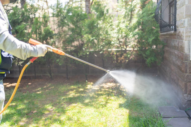 Best Pest Exclusion Services  in Logansport, LA